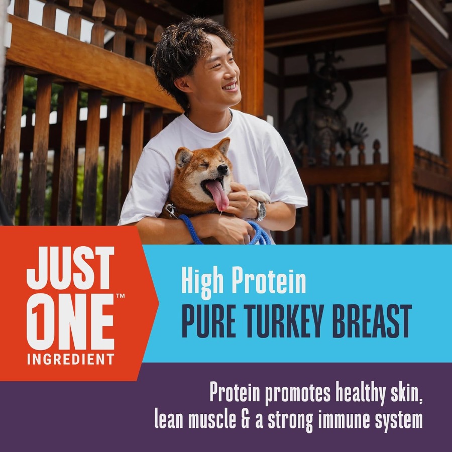 Whole Life Dog Just One Turkey - Food Snacks With Protein avaliação e preço
