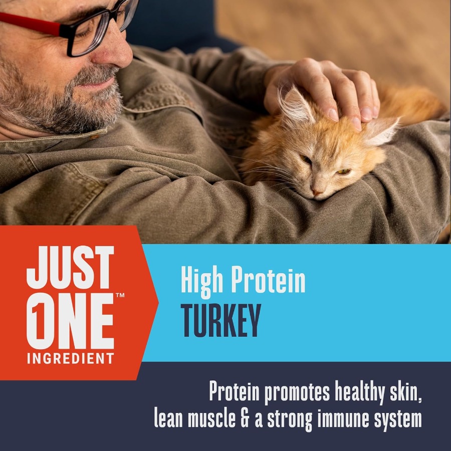 Whole Life Cat Just One Turkey - Food Snacks With Protein avaliação e preço
