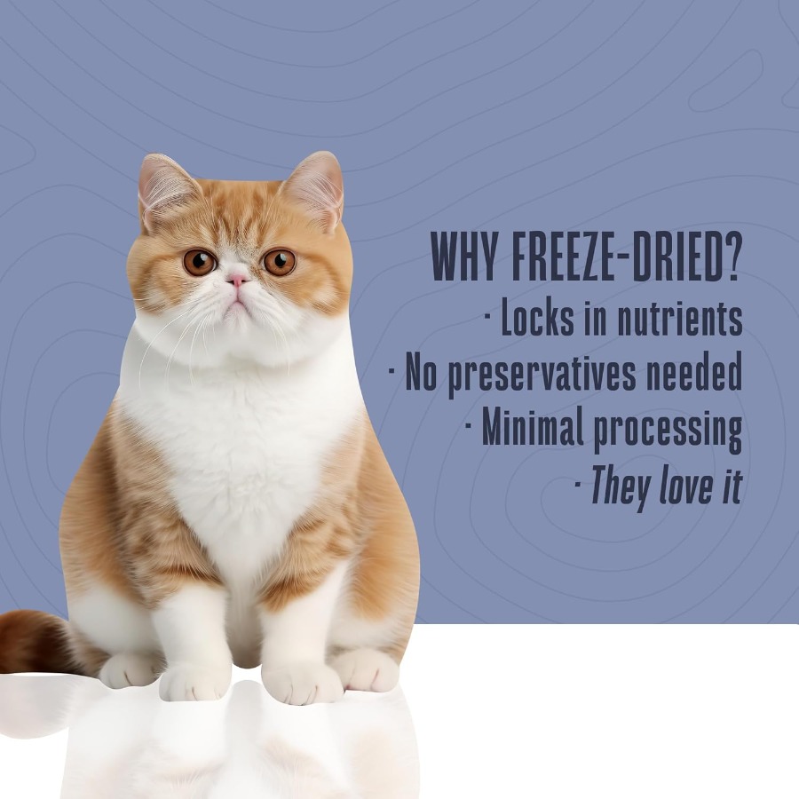 Whole Life Cat Just One Turkey - Food Snacks With Protein avaliação e preço