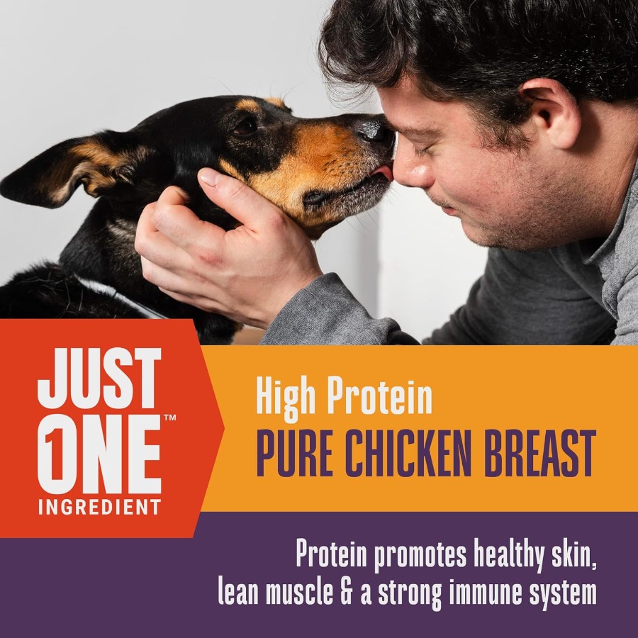 Whole Life Dog Just One Chicke - Food Snacks With Protein avaliação e preço